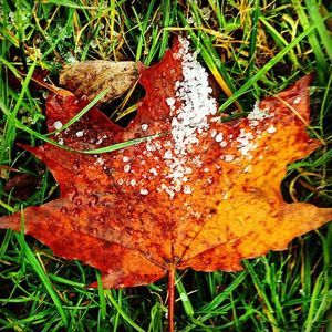 Meet your Posher, Jillian